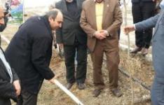 عملیات اجرایی طرح ایجاد معادن سبز در استان مرکزی آغاز شد عملیات اجرایی طرح ایجاد معادن سبز در استان مرکزی آغاز شد