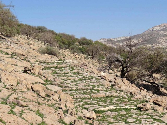 کشف سنگفرش ۱۸۰۰ساله یککیلومتری در ایران کشف سنگفرش ۱۸۰۰ساله یککیلومتری در ایران