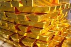 افزایش 48 درصدی تولید طلای موته افزایش 48 درصدی تولید طلای موته