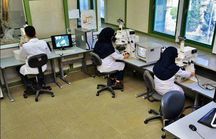رشد ۱۰ درصدی وضعیت مالی مرکز تحقیقات فرآوری موادمعدنی ایران رشد ۱۰ درصدی وضعیت مالی مرکز تحقیقات فرآوری موادمعدنی ایران