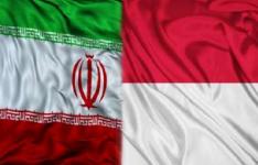 سمینار معرفی دستاوردهای نانو فناوری ایران در جاکارتا سمینار معرفی دستاوردهای نانو فناوری ایران در جاکارتا