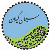 آزمایشات و معاینات ادواری پرسنل شرکت سیمان گیلان سبز انجام شد