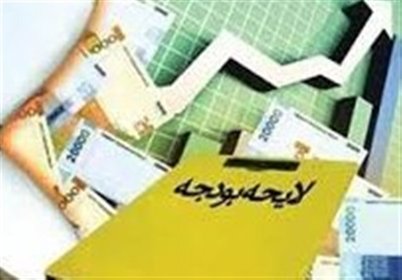 برای پرداخت مطالبات بخش خصوصی از دولت در لایحه بودجه ردیفی دیده نشده است برای پرداخت مطالبات بخش خصوصی از دولت در لایحه بودجه ردیفی دیده نشده است