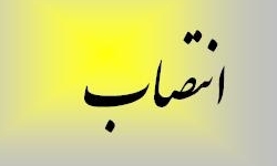 گل محمدی، معاون اکتشاف سازمان زمین شناسی و اکتشافات معدنی شد