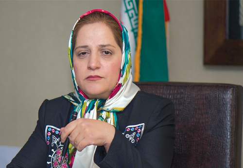 دولت نبایند خود را شریک بخش خصوصی بداند دولت نبایند خود را شریک بخش خصوصی بداند