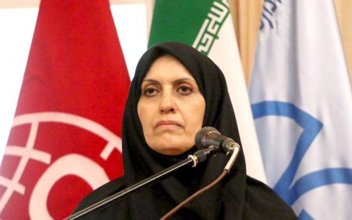 یک خودروی داخلی استانداردهای ۸۵ گانه جدید را پاس کرد