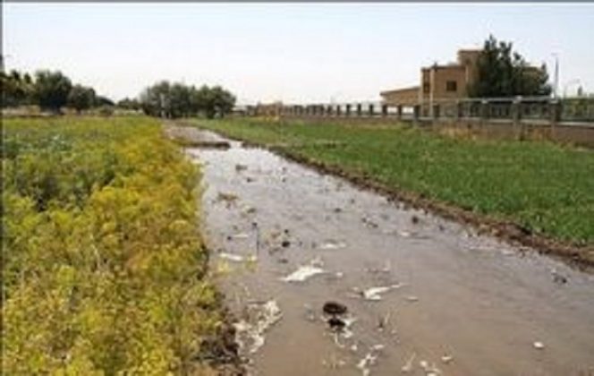 شکایت محیط زیست از پالایشگاه تهران/ ماجرای سبزی های نفتی پایتخت به کجا رسید؟ شکایت محیط زیست از پالایشگاه تهران/ ماجرای سبزی های نفتی پایتخت به کجا رسید؟