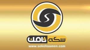 مدیرعامل متواری سکه ثامن دستگیر شد