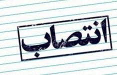 فرحناز رافع دبیر ستاد اقتصاد مقاومتی وزارت صنعت، معدن و تجارت شد فرحناز رافع دبیر ستاد اقتصاد مقاومتی وزارت صنعت، معدن و تجارت شد