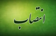 سرپرست سازمان صنعت ،‌معدن و تجارت استان فارس منصوب شد