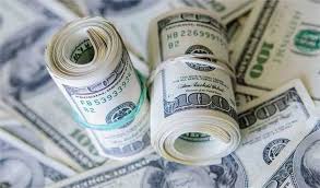 چه کسانی برای واردات خودرو ارز دولتی گرفتند؟