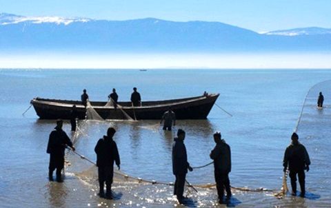 شیلات مازندران پیگیر مطالبات بیمهای صیادان است شیلات مازندران پیگیر مطالبات بیمهای صیادان است