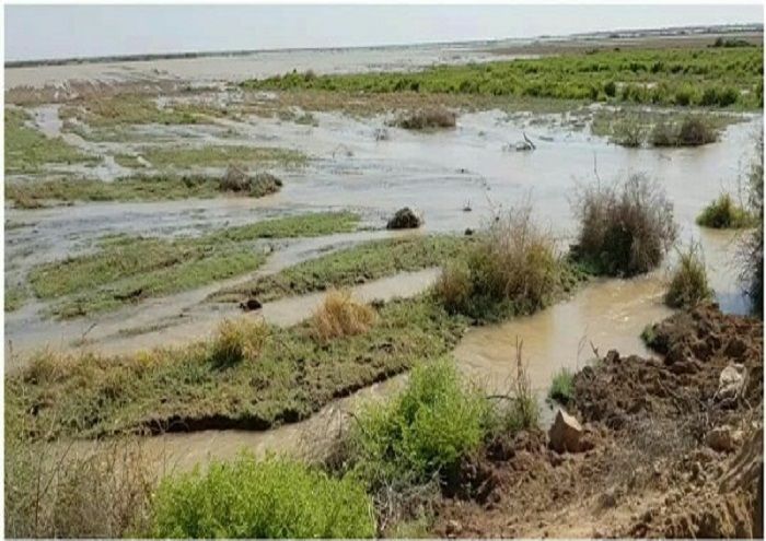 مشارکت مناطق نفتخیز جنوب در تخلیه آب مزارع روستاهای سوسنگرد مشارکت مناطق نفتخیز جنوب در تخلیه آب مزارع روستاهای سوسنگرد