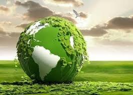معدنکار باید آثار زیست محیطی را ببیند معدنکار باید آثار زیست محیطی را ببیند
