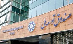 42 درصد تسهیلات ارزی صندوق توسعه ملی به بخش نفت و گاز رسید+جدول