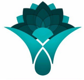 نحوه صدور اوراق برای تسویه بدهی دولت/ شرط بخشودگی سود تسهیلات نحوه صدور اوراق برای تسویه بدهی دولت/ شرط بخشودگی سود تسهیلات