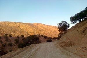 افزایش ۲۸ درصدی شاخص برخورداری رودبار در حوزه آسفالت راه های روستایی افزایش ۲۸ درصدی شاخص برخورداری رودبار در حوزه آسفالت راه های روستایی