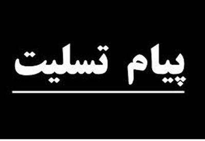 پیام تسلیت وزیر اقتصاد به مناسبت درگذشت مدیر عامل بانک مسکن پیام تسلیت وزیر اقتصاد به مناسبت درگذشت مدیر عامل بانک مسکن
