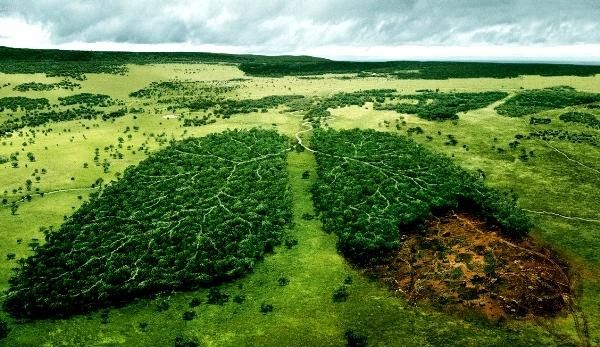 از تخریب آبیدر تا آلودگی زیست محیطی معادن طلای کردستان از تخریب آبیدر تا آلودگی زیست محیطی معادن طلای کردستان