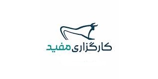 دوباره اختلال در کارگزاری مفید، در روز خوب بورس مانده حساب ها پرید!