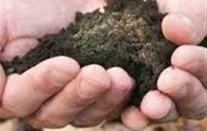 کشمکش و جدال دولت و بخش خصوصی بر سر مالکیت پسماند روی/ دستگاه قضا به نفع مردم رای داد کشمکش و جدال دولت و بخش خصوصی بر سر مالکیت پسماند روی/ دستگاه قضا به نفع مردم رای داد