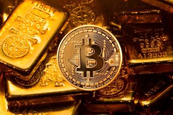 سال ۲۰۲۰؛ سال شکوفایی طلا و بیتکوین سال ۲۰۲۰؛ سال شکوفایی طلا و بیتکوین
