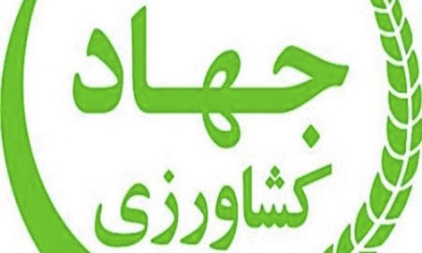 83 درصد نیاز برنج امسال کشور از داخل تامین می شود 83 درصد نیاز برنج امسال کشور از داخل تامین می شود