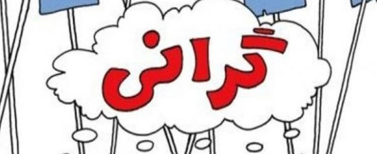 مجلس برای کنترل گرانی‌ها، کنار دولت است