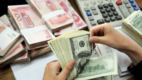 شفافیت دوای درد عدم بازگشت ارز به کشور است شفافیت دوای درد عدم بازگشت ارز به کشور است