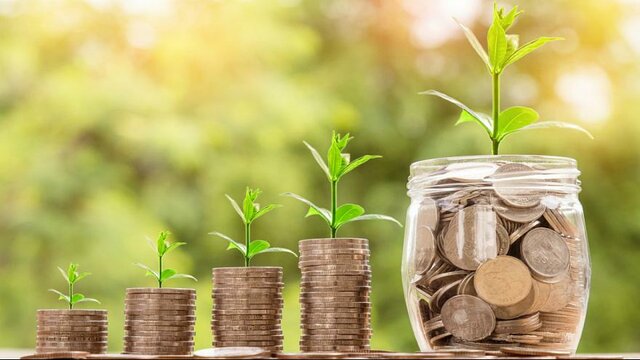 سیاست ما باید مقابله با فرار مالیاتی باشد نه برخورد با مرجع صادرکننده کارت بازرگانی
