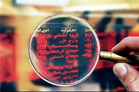 دو عرضه بلوکی این هفته کدامند