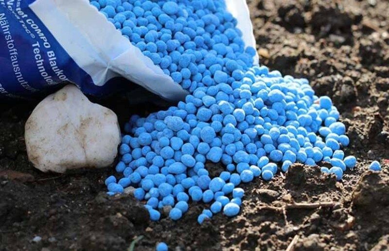آمادگی شرکت ملی مس برای تامین کود فسفاته مورد نیاز کشاورزان آمادگی شرکت ملی مس برای تامین کود فسفاته مورد نیاز کشاورزان