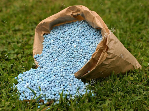 با حمایت شرکت مس در تولید کودهای شیمیایی و فسفاته خودکفا می‌شویم