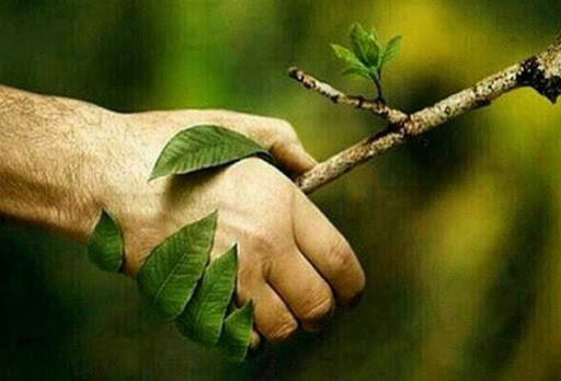 تصمیمات دولت برای رفع آلودگی های محیط زیستی ناشی از صنایع مستقر در منطقه ویژه اقتصادی انرژی پارس/ مصوبه مربوط به قانون تعیین تکلیف استخدامی معلمین حق التدریس و آموزشیاران سوادآموزی در وزارت آموزش و پرورش اصلاح شد تصمیمات دولت برای رفع آلودگی های محیط زیستی ناشی از صنایع مستقر در منطقه ویژه اقتصادی انرژی پارس/ مصوبه مربوط به قانون تعیین تکلیف استخدامی معلمین حق التدریس و آموزشیاران سوادآموزی در وزارت آموزش و پرورش اصلاح شد