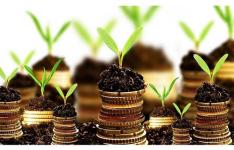 افزایش 4 برابری حجم سرمایه گذاری صنعتی در ایلام افزایش 4 برابری حجم سرمایه گذاری صنعتی در ایلام