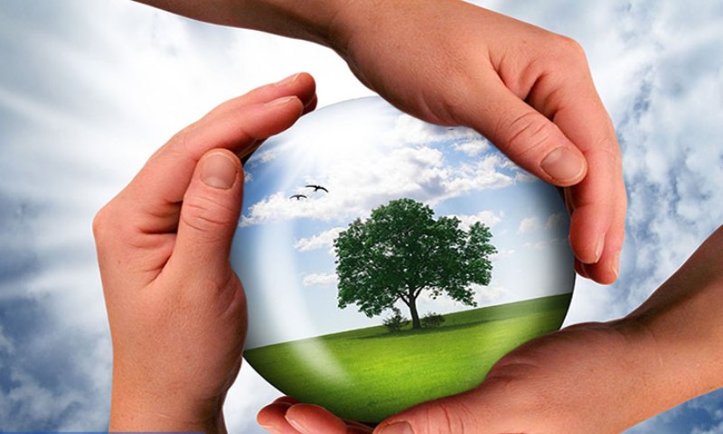 فعالیت معدنی نباید باعث اختلال در محیط زیست و منابع طبیعی شود