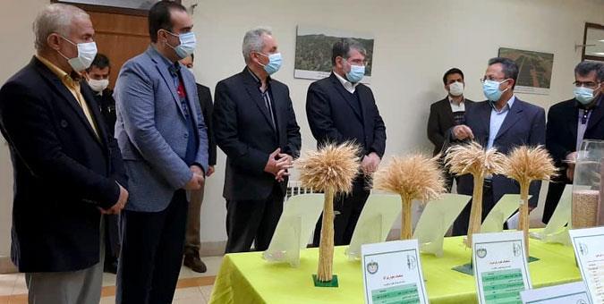 تلاش کمیسیون کشاورزی برای تامین اعتبار تلاش کمیسیون کشاورزی برای تامین اعتبار