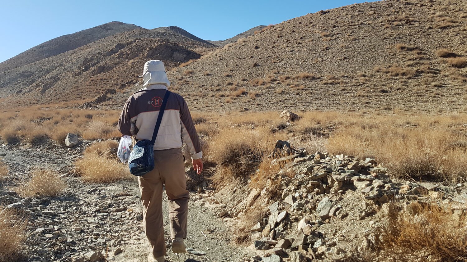 مطالعات میدانی اجرای طرح تحول زمینشناسی و اکتشاف ذخایر معدنی در خراسانجنوبی (برگه یکپنجاههزارم ژئوشیمی سربیشه ۴) مطالعات میدانی اجرای طرح تحول زمینشناسی و اکتشاف ذخایر معدنی در خراسانجنوبی (برگه یکپنجاههزارم ژئوشیمی سربیشه ۴)