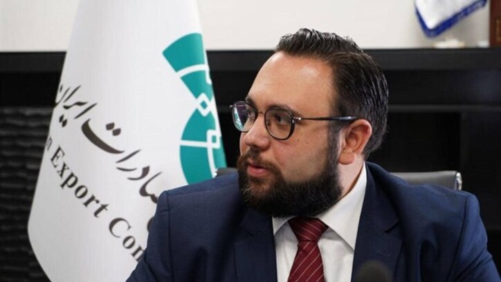دریافت تعهد ارزی از صادرکننده فرش دستباف غیرمنطقی است