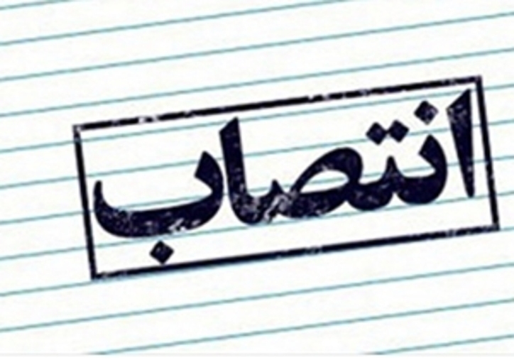 سرپرست گروه مالی دی منصوب شد