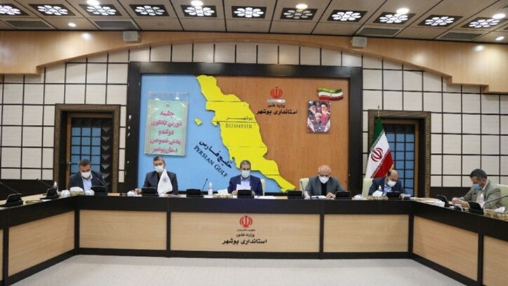رفع مشکلات صادرکنندگان بوشهری در گمرک قطر پیگیری شود