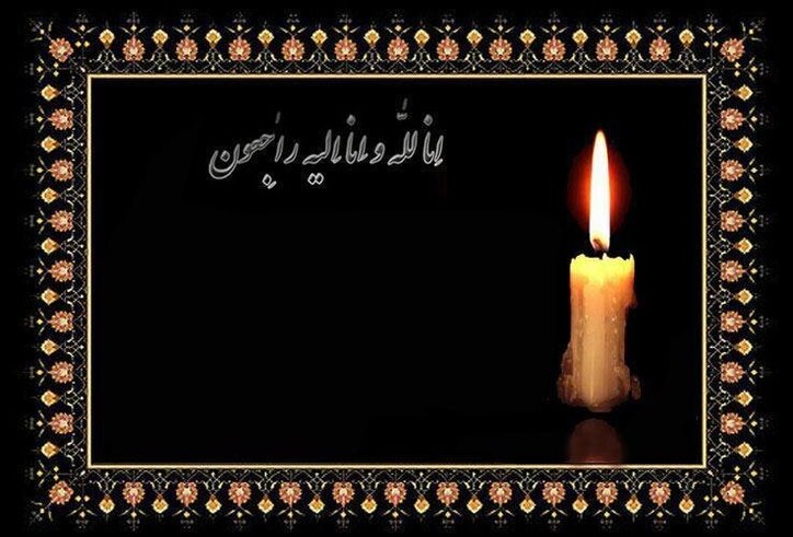 پیام تسلیت وجیه الله جعفری رئیس هیات عامل ایمیدرو به مناسبت درگذشت مهندس ترکان