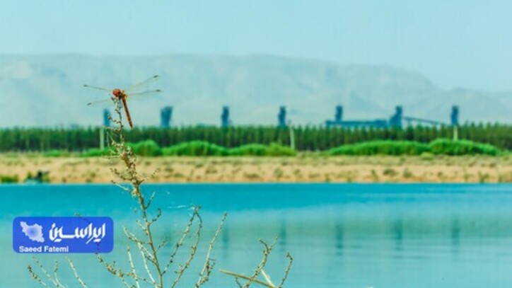 اقدامات فولاد مبارکه در حوزه محیط زیست یک الگوی کشوری است
