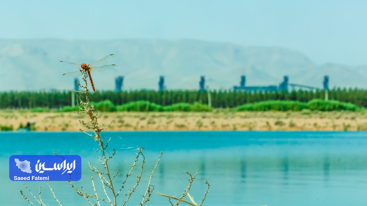 فولاد مبارکه پیشتاز در مصرف بهینه آب/دستیابی فولاد مبارکه به کمترین میزان مصرف آب در یک تن تولید در بین رقبای داخلی و خارجی فولاد مبارکه پیشتاز در مصرف بهینه آب/دستیابی فولاد مبارکه به کمترین میزان مصرف آب در یک تن تولید در بین رقبای داخلی و خارجی