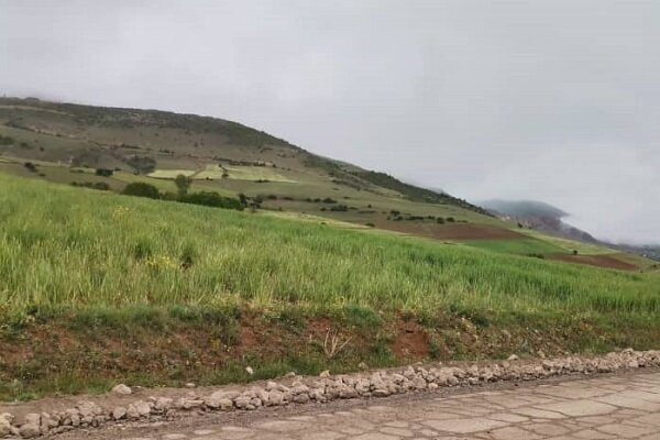 غبار صنعت سیمان بر پیکر سبز و کهن دیلمان گیلان