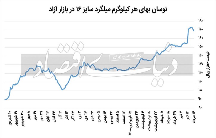 عقبگرد قیمتی فولاد با سیگنال‌های رئیس‌جمهور