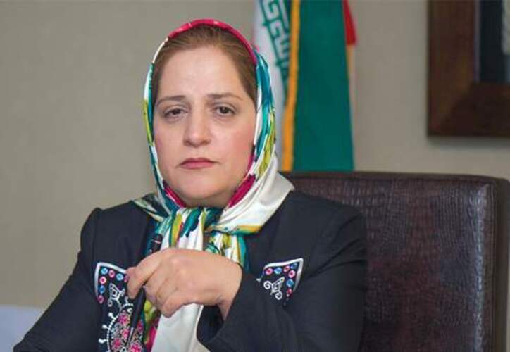 وضع عوارض ۷۰ درصد با هدف ایجاد رانت مطرح می‌شود