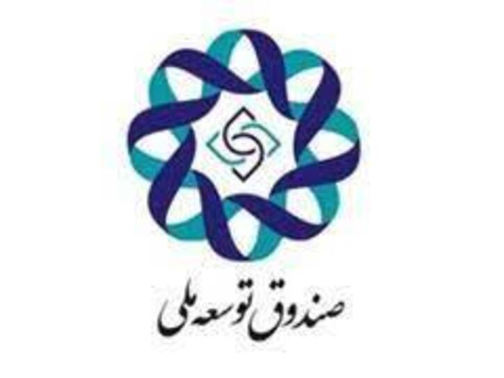جزئیات عملکرد ارزی صندوق توسعه ملی