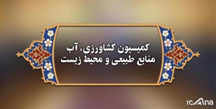 حذف ارز دولتی نیازمند فراهم سازی مقدمات اقتصادی است