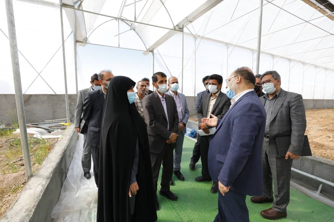 به عنوان یک صنعت بزرگ به دنبال نقشآفرینی موثر در حوزه دانشبنیان هستیم به عنوان یک صنعت بزرگ به دنبال نقشآفرینی موثر در حوزه دانشبنیان هستیم